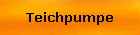 Teichpumpe