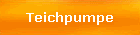 Teichpumpe