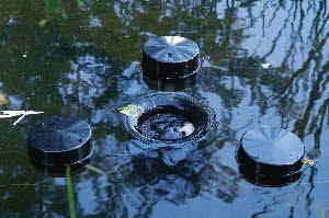 Skimmer Laub am Gartenteich